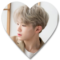 woozi woozi